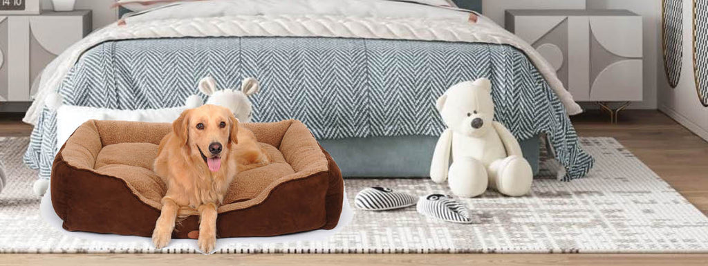 Do Dogs Dream?