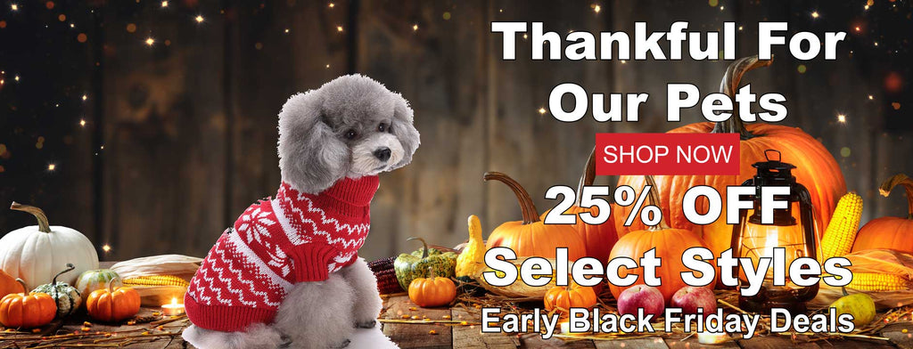 American Pet Place