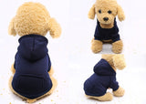 Basic Dog Hoodie