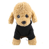 Dog Halloween Hooded Skull Sweatshirt