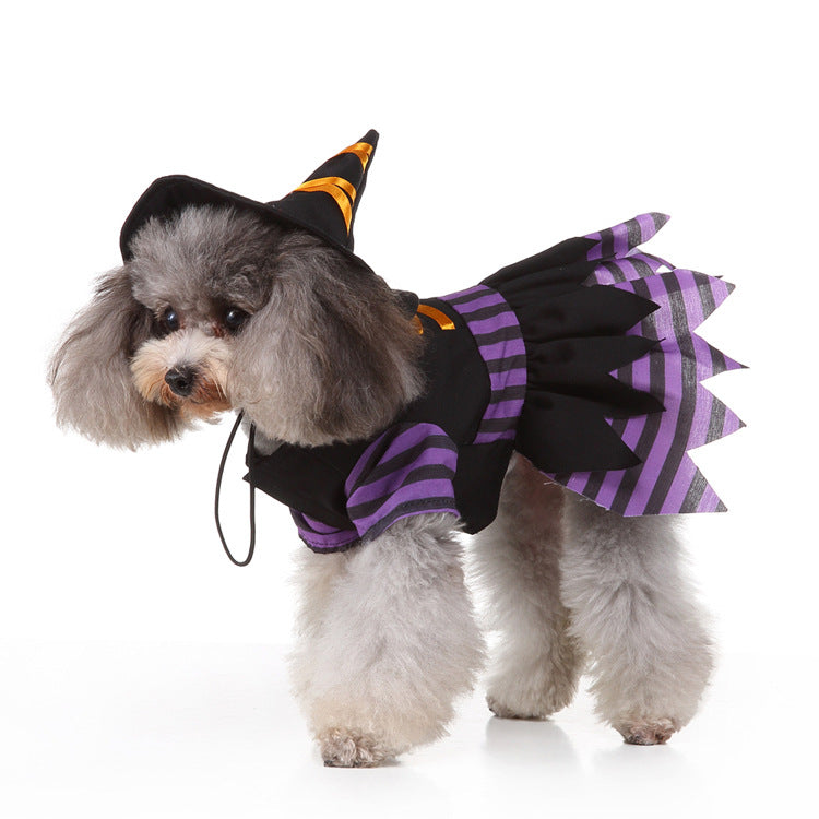 Pet / Dog / Cat Witch Costume Halloween
