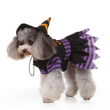 Pet / Dog / Cat Witch Costume Halloween