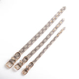 French Designer inspired  Collar & Leashes