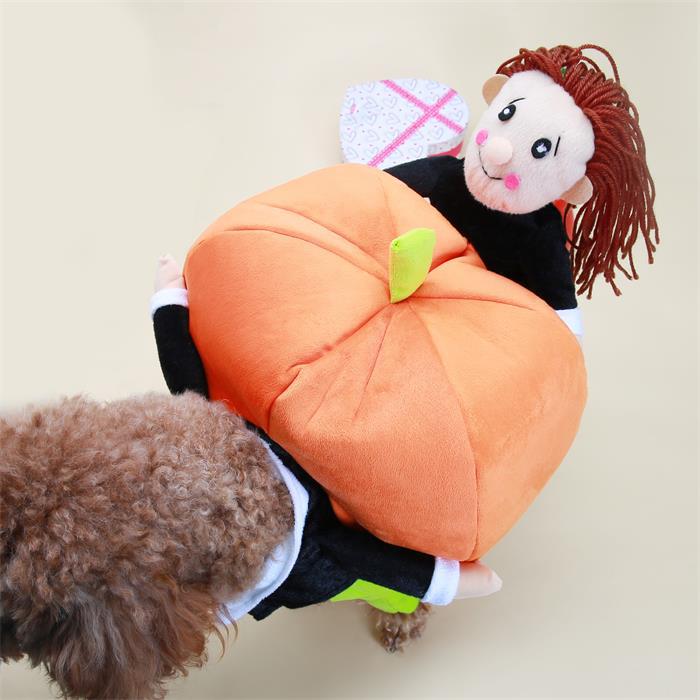 Dog Harvest Pumpkin Picking Costume