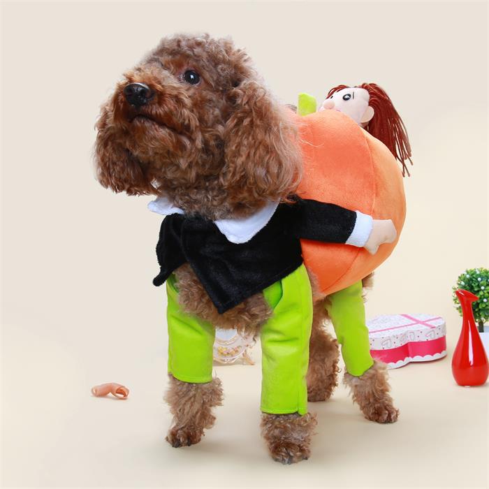 Dog Harvest Pumpkin Picking Costume