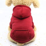 Basic Dog Hoodie