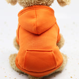 Basic Dog Hoodie
