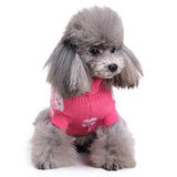 Dog Halloween Skull Sweater