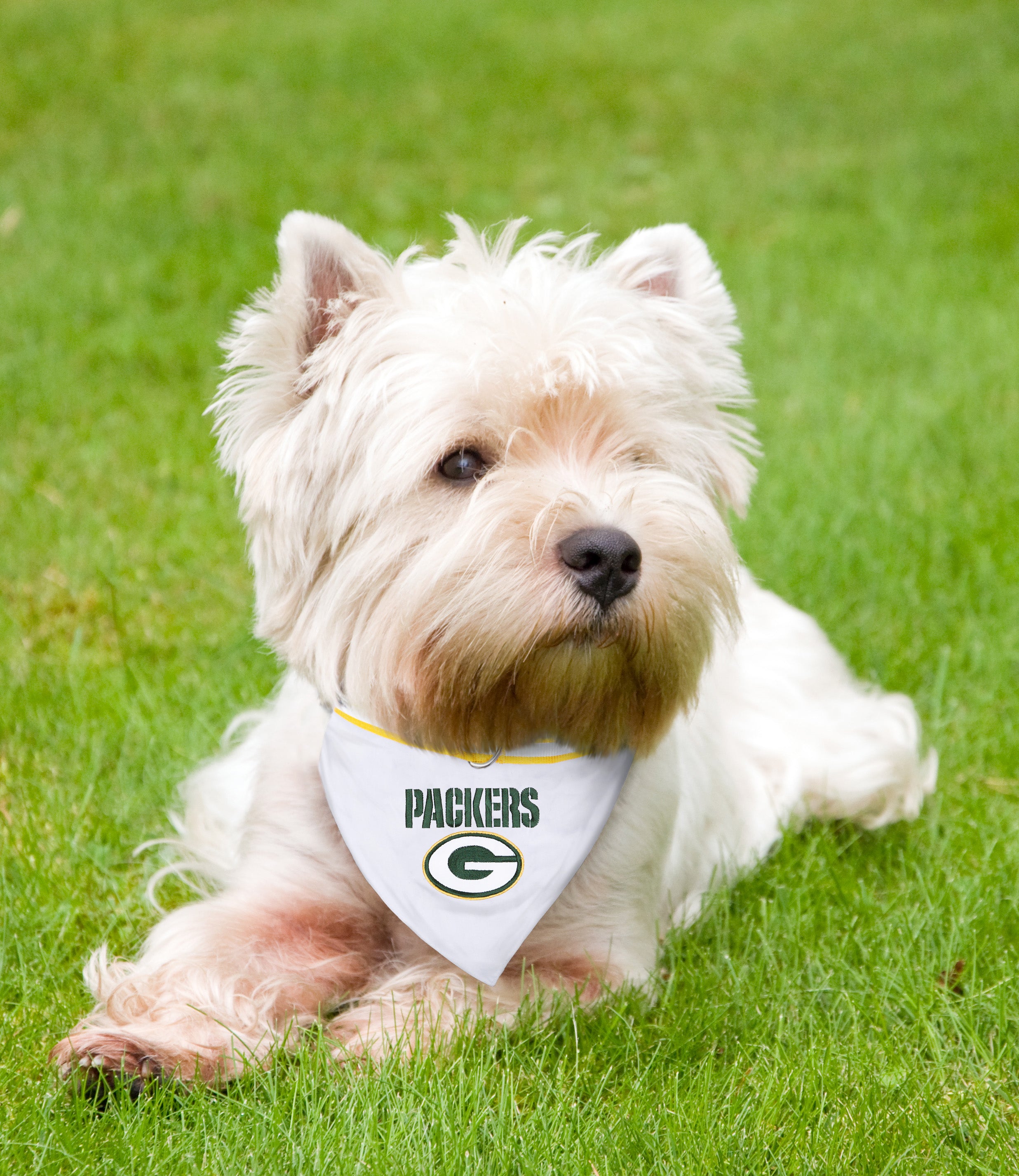 Packers Reversible Pet Bandana