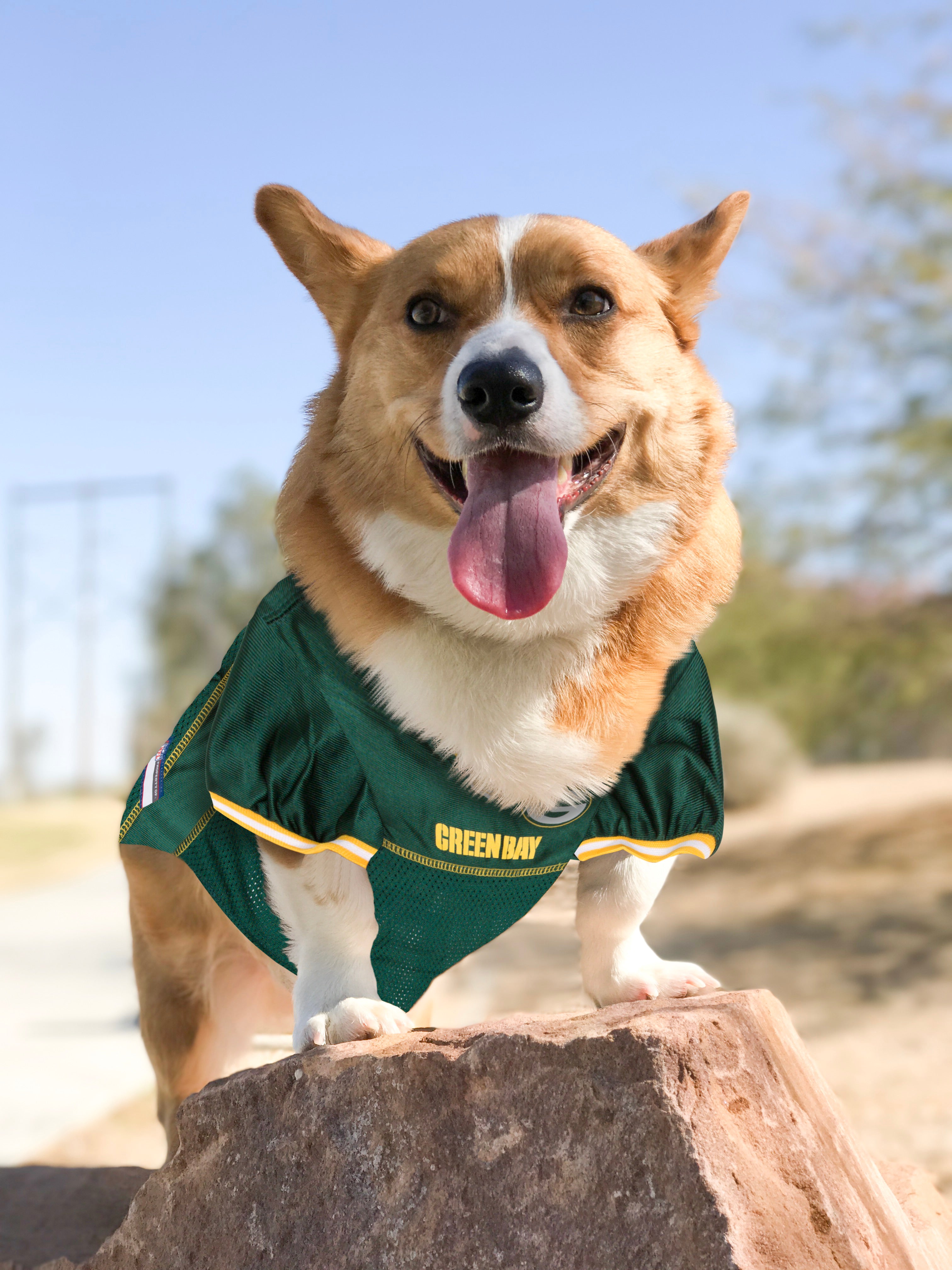 Green Bay Packers Dog Jersey