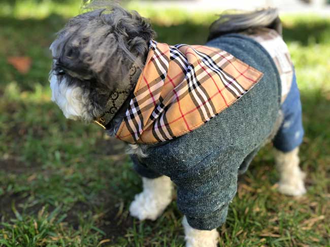 Toby's Dapper / Preppy One Piece Jumper Puppy Outfit