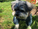 Toby's Dapper / Preppy One Piece Jumper Puppy Outfit