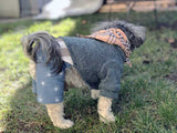 Toby's Dapper / Preppy One Piece Jumper Puppy Outfit