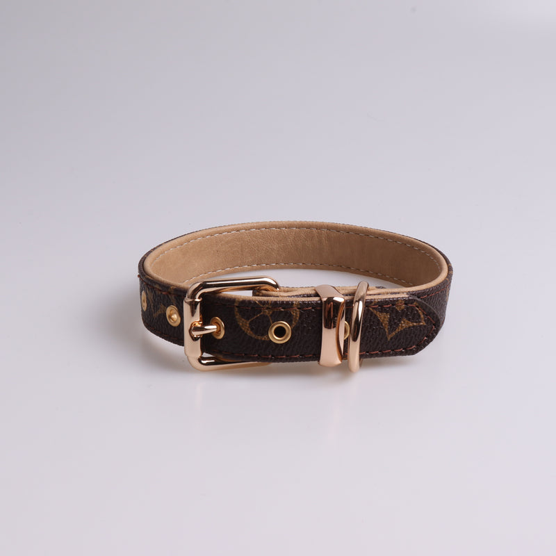 French Designer inspired  Collar & Leashes