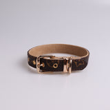 French Designer inspired  Collar & Leashes