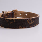 French Designer inspired  Collar & Leashes