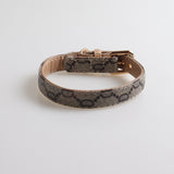 French Designer inspired  Collar & Leashes