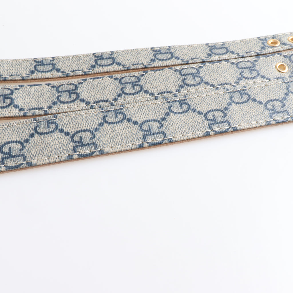 French Designer inspired  Collar & Leashes