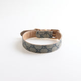 French Designer inspired  Collar & Leashes