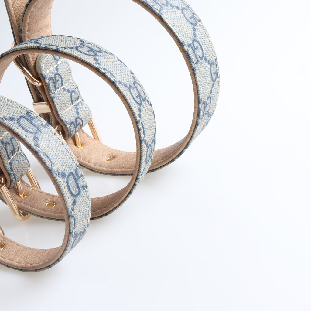 French Designer inspired  Collar & Leashes