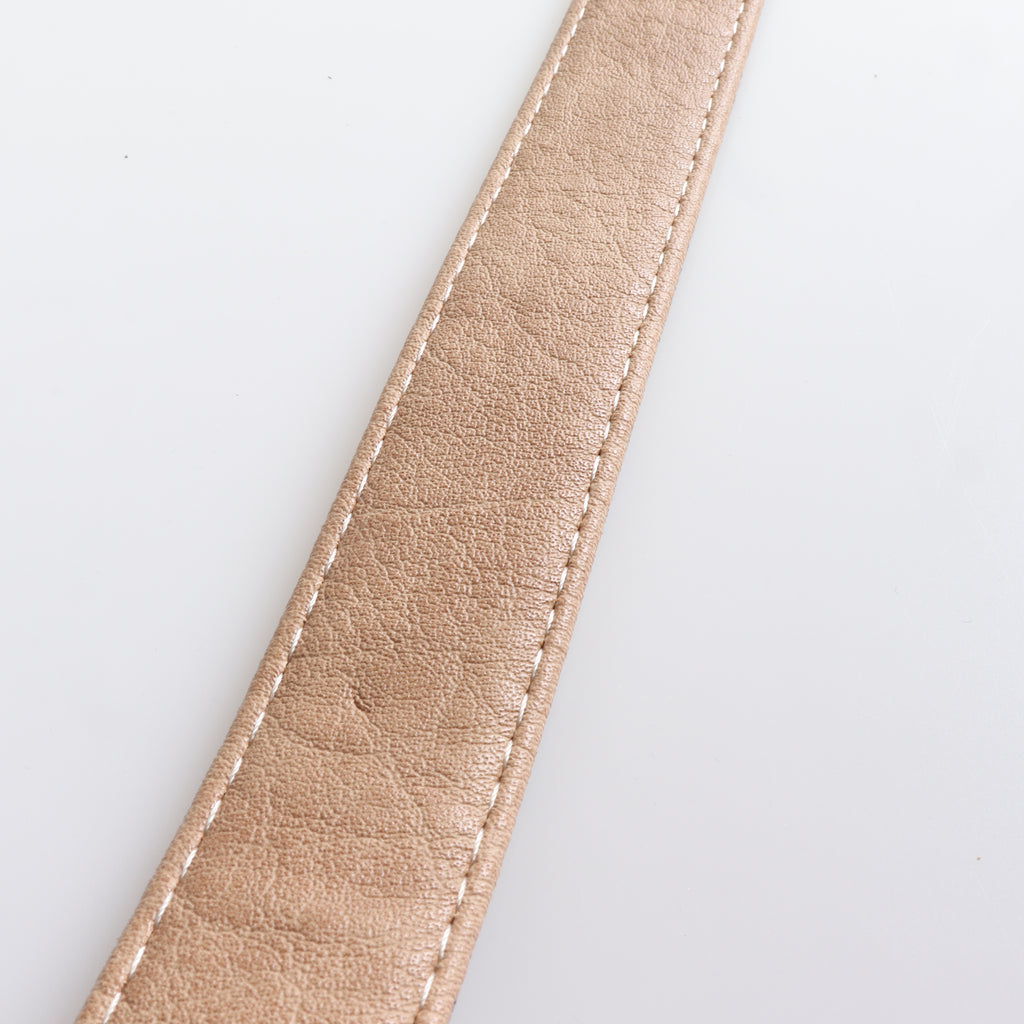 French Designer inspired  Collar & Leashes
