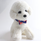 Cat, Dog American flag bow tie collar
