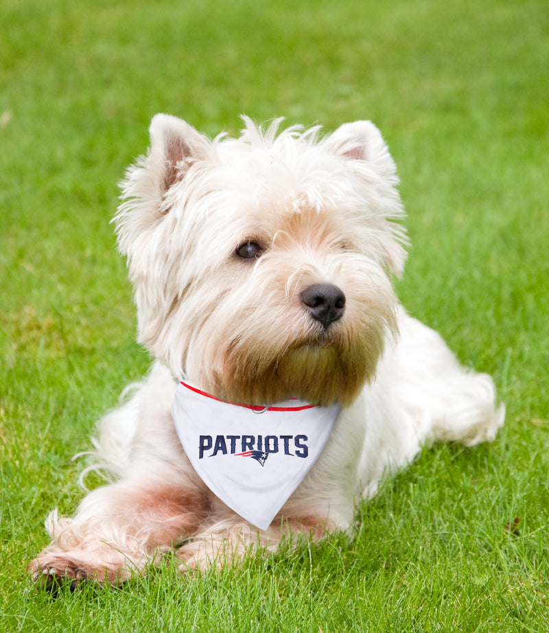 Patriots Bandana