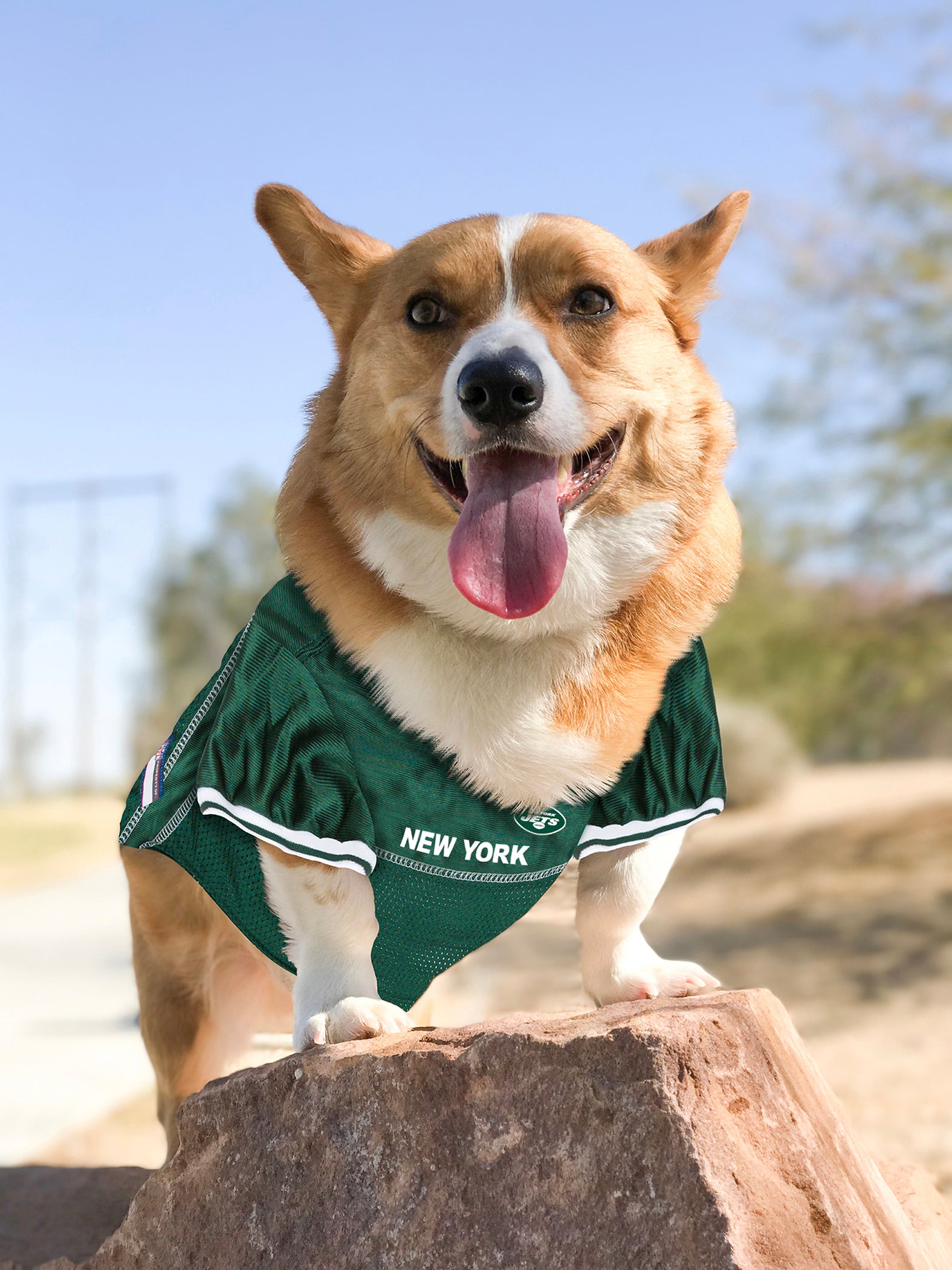 New york Jets Mesh Jersey – American Pet Place