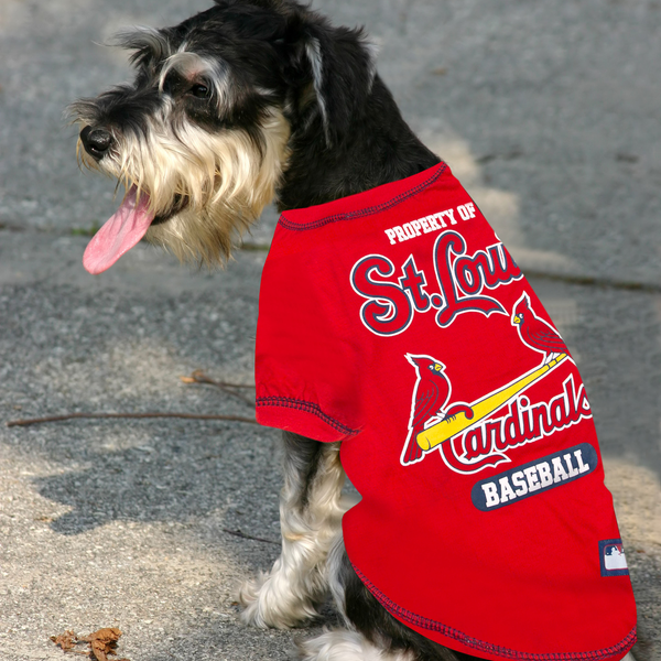 St Louis Cardinals Dog Collar Small