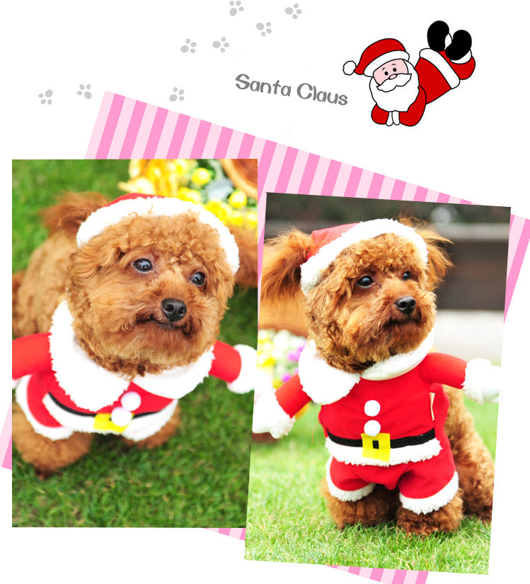 Cat / Dog Santa Christmas Suit