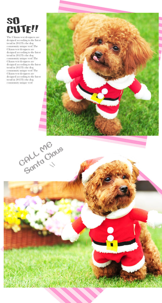 Cat / Dog Santa Christmas Suit