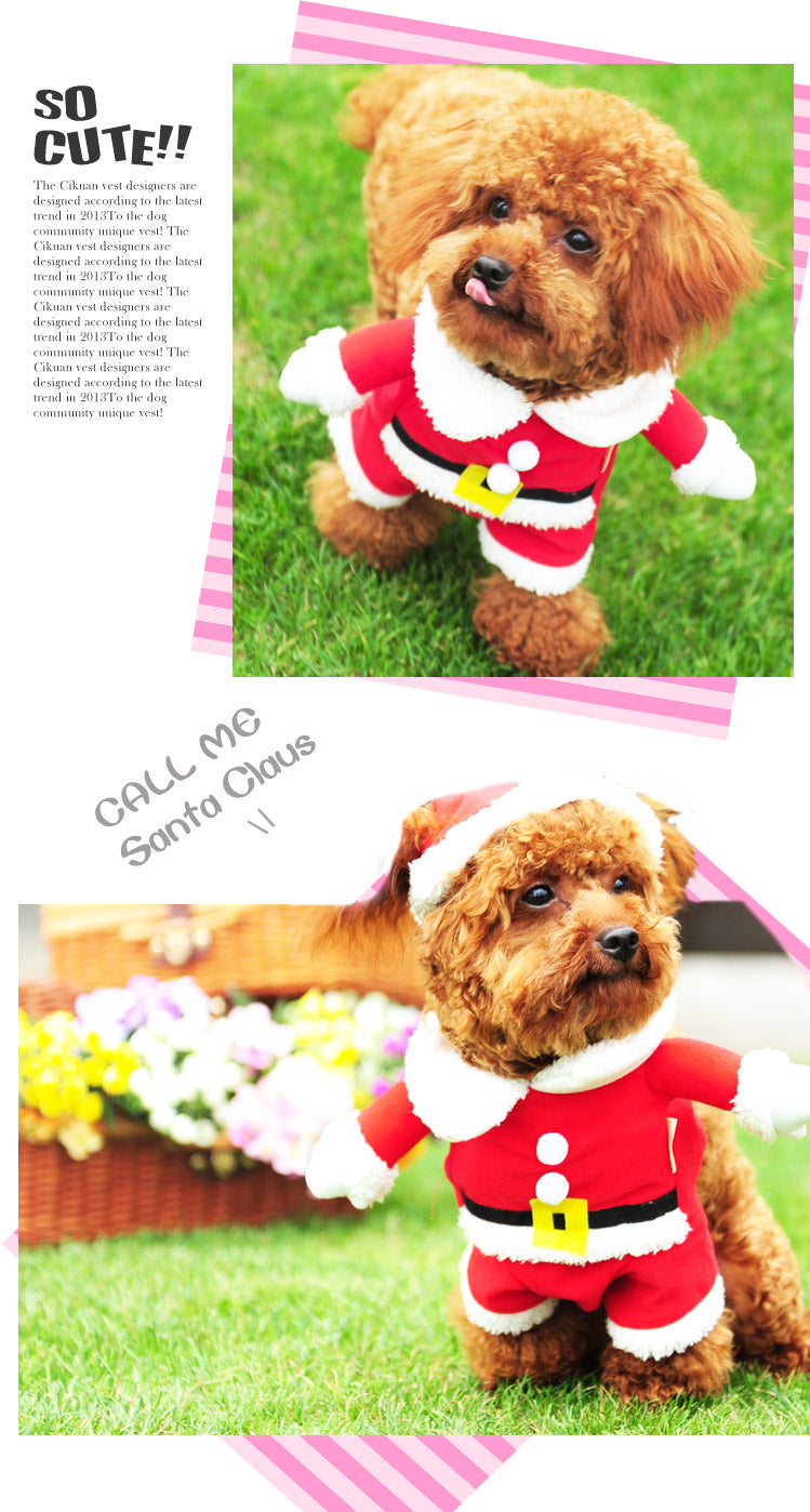 Cat / Dog Santa Christmas Suit
