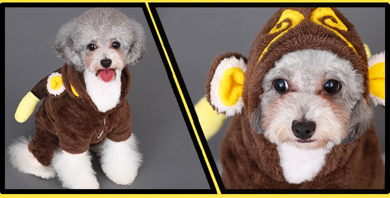 Dog Star Wars