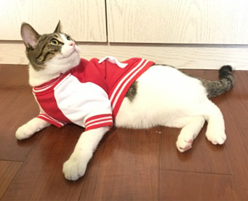 Pet / Dog /Cat Varsity Jacket