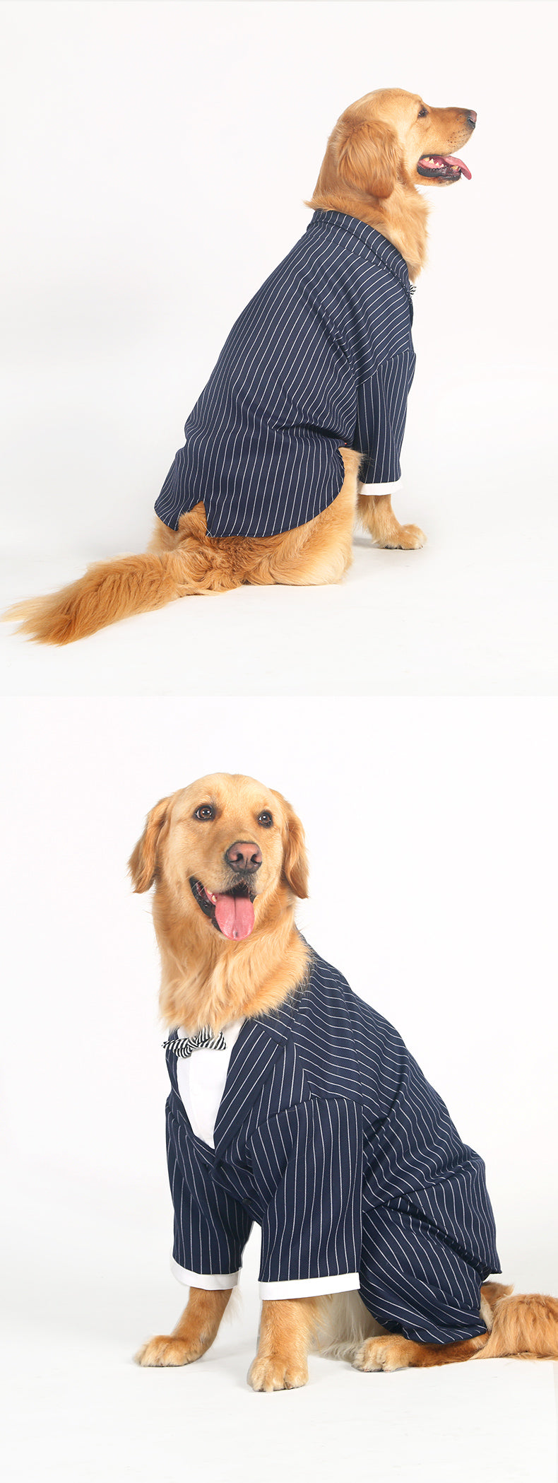 Big Dog / Large Dog Tuxedo / Suit / Formal Wear American Pet Place Big Dog / Large Dog Tuxedo / Suit / Formal Wear American Pet Place