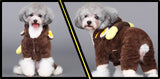 Dog Star Wars