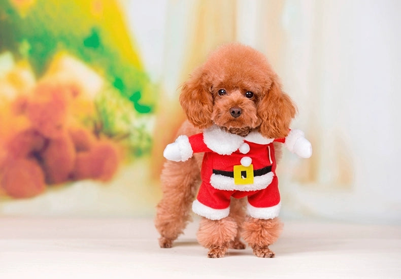 Cat / Dog Santa Christmas Suit