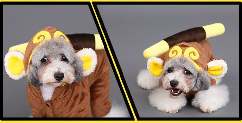 Dog Star Wars