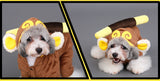 Dog Star Wars