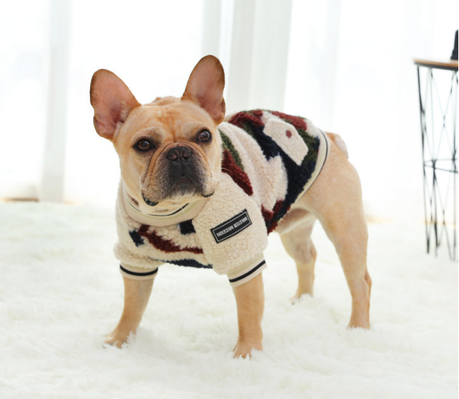 Pet / Dog / Cat  Varsity Style Camouflage Jacket