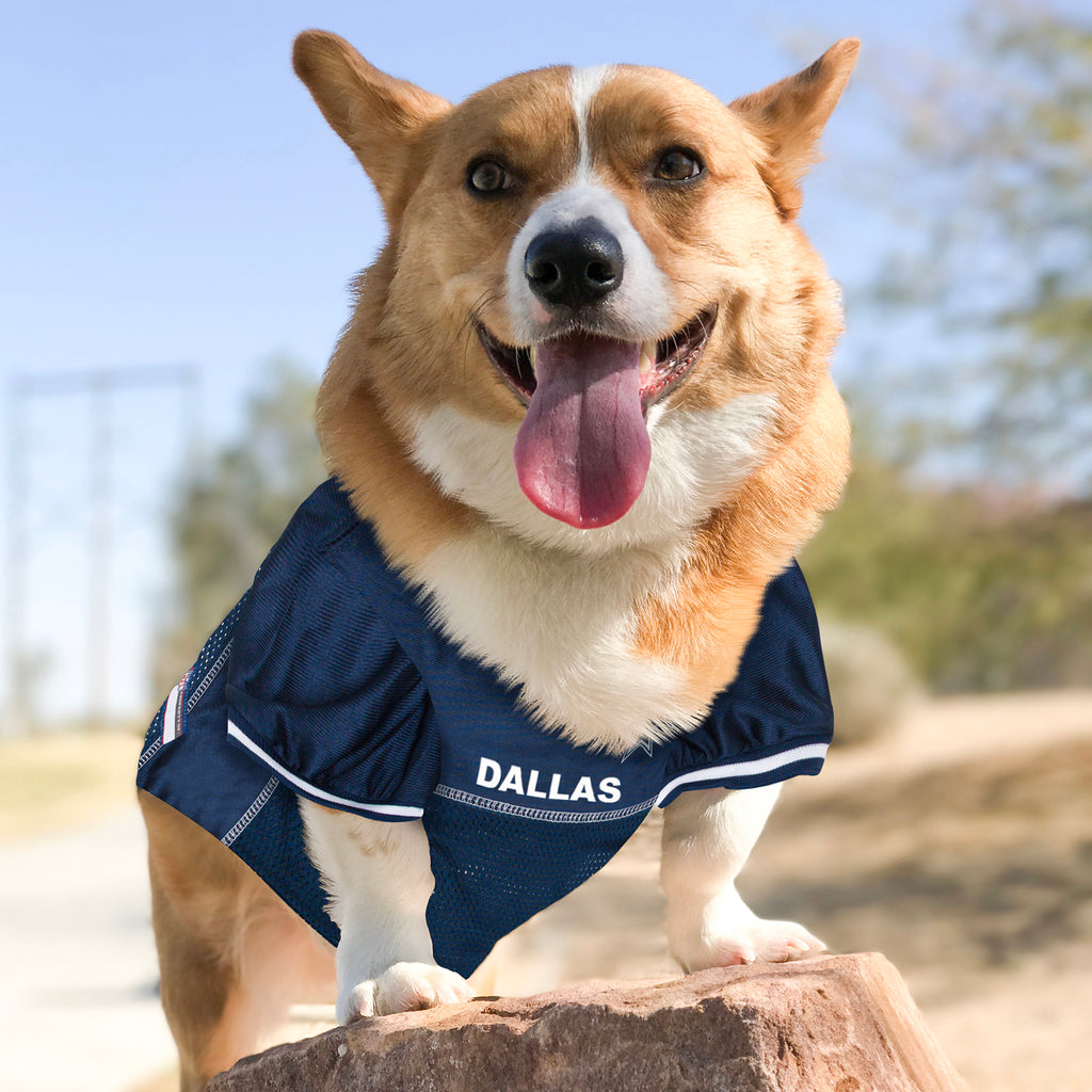 American Pet Place