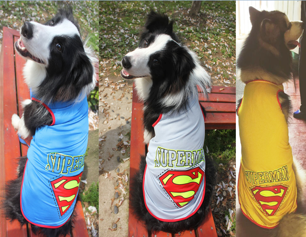 SUPER HERO, SUPER DOG, LARGE DOG BREED MESH TANK TOP