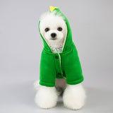 Pet / Dog/ Cat Green Coat with Dragon Scales