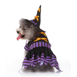 Pet / Dog / Cat Witch Costume Halloween