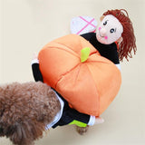 Dog Harvest Pumpkin Picking Costume