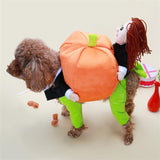 Dog Harvest Pumpkin Picking Costume