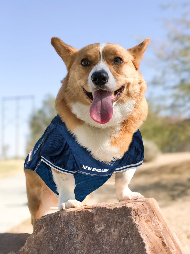 New England Patriots Mesh Jersey – American Pet Place