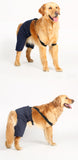 Big Dog / Large Dog Tuxedo / Suit / Formal Wear