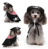 Dog Pirate Halloween Costume